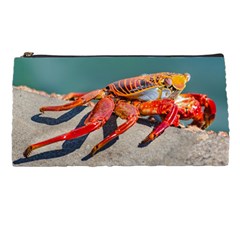 Colored Crab, Galapagos Island, Ecuador Pencil Case