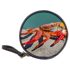 Colored Crab, Galapagos Island, Ecuador Classic 20-cd Wallets by dflcprintsclothing