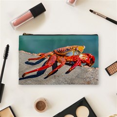 Colored Crab, Galapagos Island, Ecuador Cosmetic Bag (medium) by dflcprintsclothing