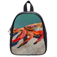 Colored Crab, Galapagos Island, Ecuador School Bag (small) by dflcprintsclothing