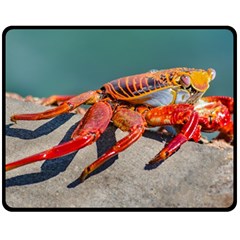 Colored Crab, Galapagos Island, Ecuador Fleece Blanket (medium)  by dflcprintsclothing