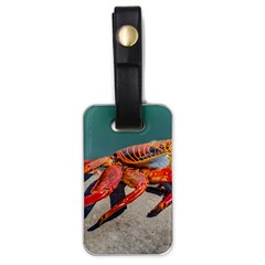 Colored Crab, Galapagos Island, Ecuador Luggage Tag (one Side)