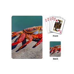 Colored Crab, Galapagos Island, Ecuador Playing Cards Single Design (mini)