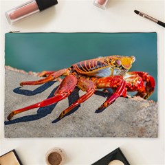 Colored Crab, Galapagos Island, Ecuador Cosmetic Bag (xxl)