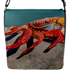 Colored Crab, Galapagos Island, Ecuador Flap Closure Messenger Bag (s) by dflcprintsclothing