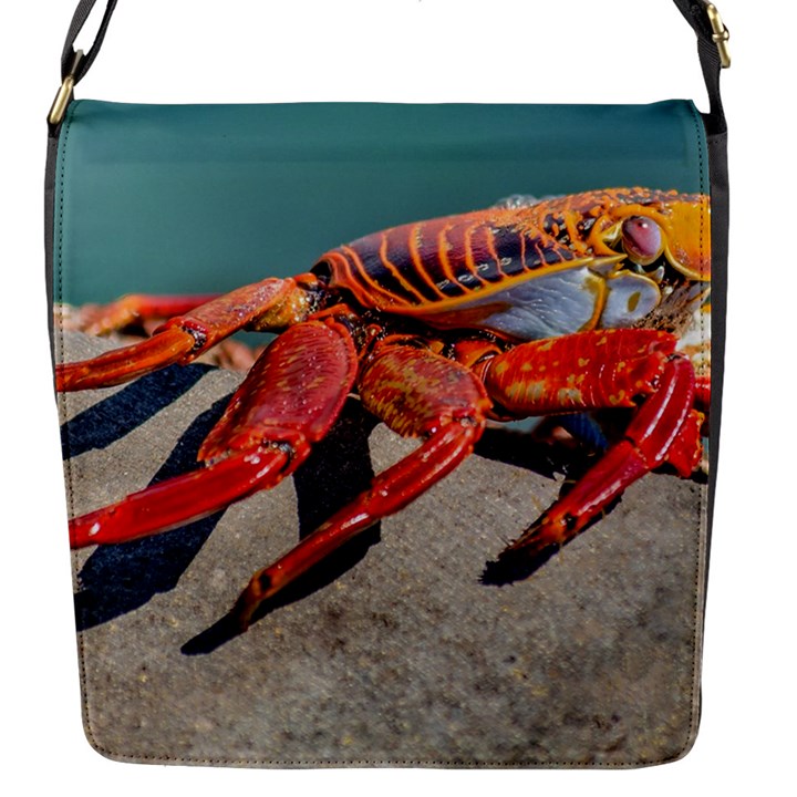 Colored Crab, Galapagos Island, Ecuador Flap Closure Messenger Bag (S)