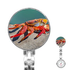 Colored Crab, Galapagos Island, Ecuador Stainless Steel Nurses Watch by dflcprintsclothing