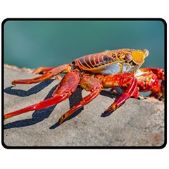 Colored Crab, Galapagos Island, Ecuador Double Sided Fleece Blanket (medium)  by dflcprintsclothing