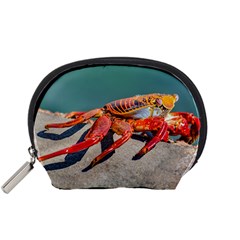 Colored Crab, Galapagos Island, Ecuador Accessory Pouch (small)