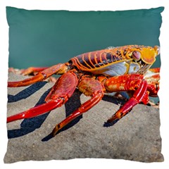 Colored Crab, Galapagos Island, Ecuador Standard Flano Cushion Case (one Side) by dflcprintsclothing