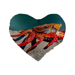 Colored Crab, Galapagos Island, Ecuador Standard 16  Premium Flano Heart Shape Cushions by dflcprintsclothing