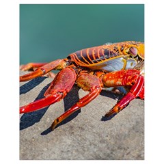 Colored Crab, Galapagos Island, Ecuador Drawstring Bag (small)