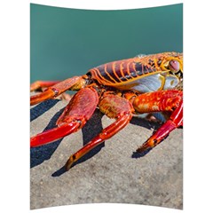 Colored Crab, Galapagos Island, Ecuador Back Support Cushion by dflcprintsclothing