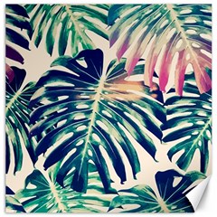 Monstera Leaf Canvas 20  X 20  by goljakoff