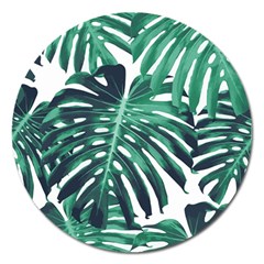 Green Monstera Leaf Magnet 5  (round) by goljakoff