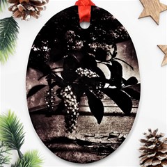 Dark Spring Ornament (oval) by MRNStudios