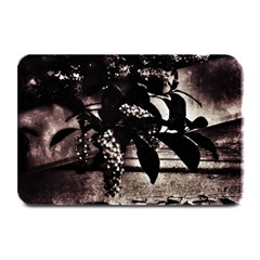 Dark Spring Plate Mats by MRNStudios