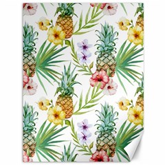 Tropical Pineapples Canvas 36  X 48  by goljakoff