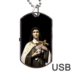 Virgin Mary Sculpture Dark Scene Dog Tag Usb Flash (one Side) by dflcprintsclothing