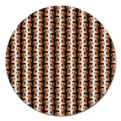 Snakeskin Magnet 5  (round) by Sparkle