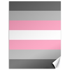 Demigirl Pride Flag Lgbtq Canvas 18  X 24  by lgbtnation