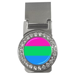 Polysexual Pride Flag Lgbtq Money Clips (cz)  by lgbtnation