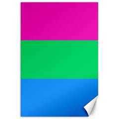 Polysexual Pride Flag Lgbtq Canvas 20  X 30  by lgbtnation