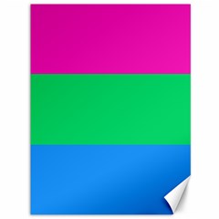 Polysexual Pride Flag Lgbtq Canvas 36  X 48  by lgbtnation