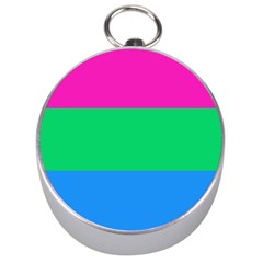 Polysexual Pride Flag Lgbtq Silver Compasses by lgbtnation