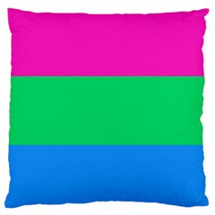 Polysexual Pride Flag Lgbtq Large Flano Cushion Case (one Side) by lgbtnation