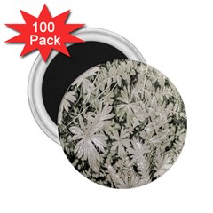 Pale Tropical Floral Print Pattern 2 25  Magnets (100 Pack)  by dflcprintsclothing