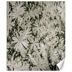 Pale Tropical Floral Print Pattern Canvas 8  X 10 