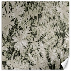 Pale Tropical Floral Print Pattern Canvas 12  X 12  by dflcprintsclothing