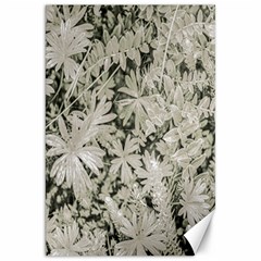 Pale Tropical Floral Print Pattern Canvas 20  X 30  by dflcprintsclothing