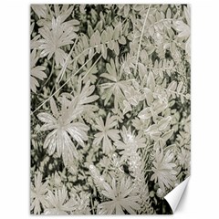 Pale Tropical Floral Print Pattern Canvas 36  X 48  by dflcprintsclothing