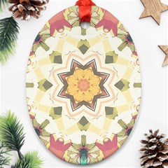 Cute Kaleidoscope Oval Ornament (two Sides) by Dazzleway