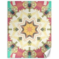 Cute kaleidoscope Canvas 12  x 16 