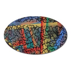 Crackle Oval Magnet by WILLBIRDWELL