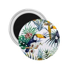 Tropical Flowers 2 25  Magnets by goljakoff