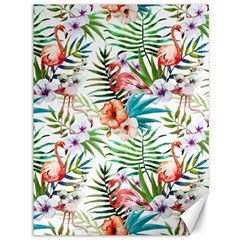 Tropical Flamingo Canvas 36  X 48  by goljakoff