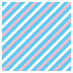 Transgender Pride Diagonal Stripes Pattern Long Sheer Chiffon Scarf 