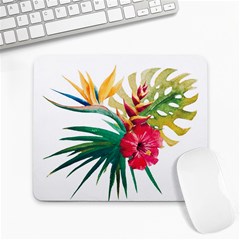 Tropical Flowers Large Mousepads by goljakoff