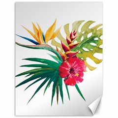 Tropical Flowers Canvas 12  X 16  by goljakoff