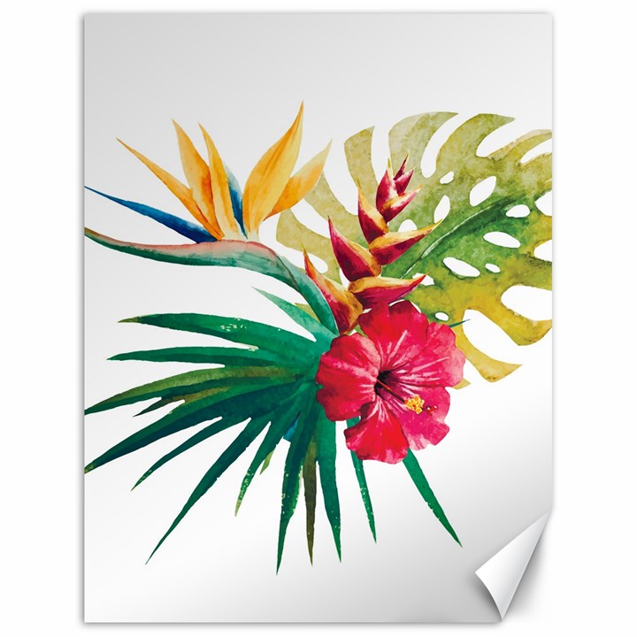 Tropical flowers Canvas 18  x 24 