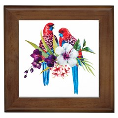 Tropical Parrots Framed Tile by goljakoff