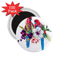 Tropical Parrots 2 25  Magnets (100 Pack)  by goljakoff