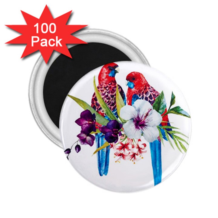 Tropical parrots 2.25  Magnets (100 pack) 