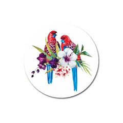 Tropical Parrots Magnet 3  (round) by goljakoff