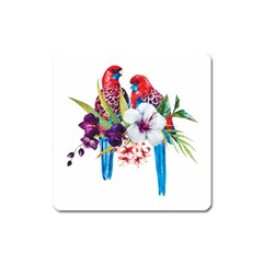 Tropical Parrots Square Magnet by goljakoff