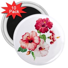 Flawers 3  Magnets (10 Pack)  by goljakoff